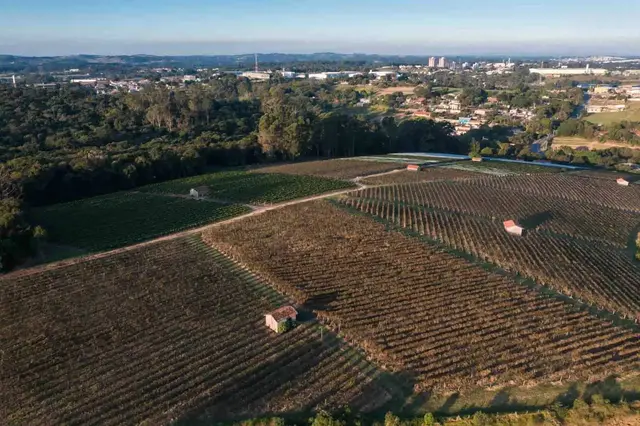 Agronegócio em Jundiaí - foto 48