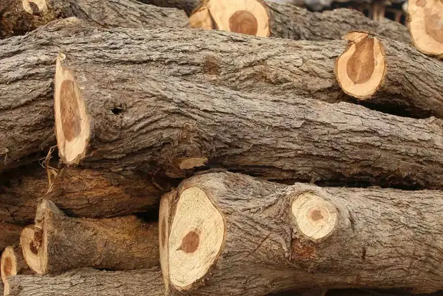 Agronegócio em Jundiaí - foto 6