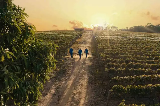 Agronegócio em Jundiaí - foto 51