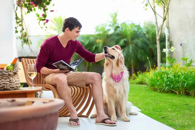 Campanhas Publicitárias em Jundiaí - foto 38